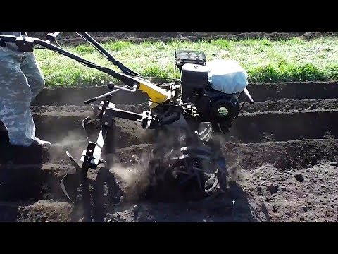 Planting potatoes with a walk-behind tractor and a DOUBLE hiller