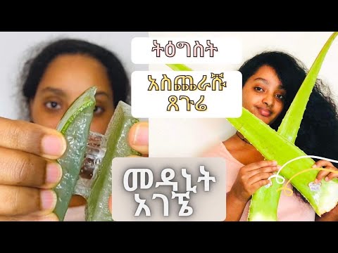 ትዕግስቴን የተፈታተነው ጸጉሬ መፍትሄ አገኜ/ እሬት ለጤናማ ጸጉር // Aloe Vera treatment for healthy hair growth