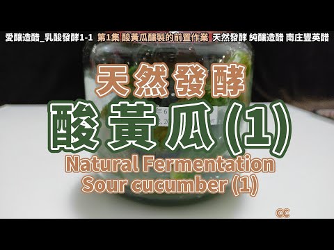 一定酸 原創_酸黃瓜(1)酸又沒有亞硝酸鹽 早餐店學起來做生意生財CC 天然發酵Pickled Cucumber(1) キュウリ漬け[愛釀造醋_乳酸發酵1-1]台灣南庄豐英醋