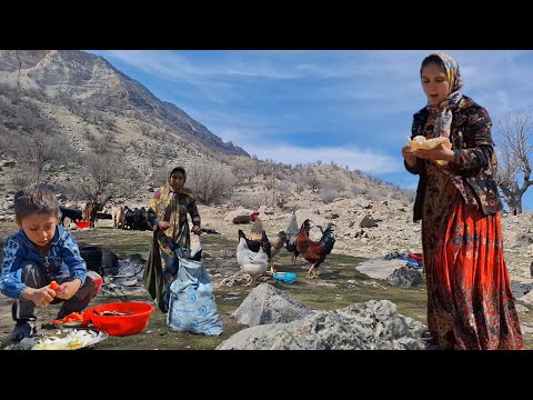 Nomadic life: buying chicken | Helping the cameraman to nomadic girls rudbal