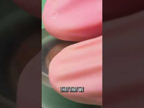 The Barrel Complete Assembled