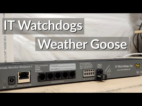 Server Rack Climate Monitor: IT Watchdogs Weather Goose