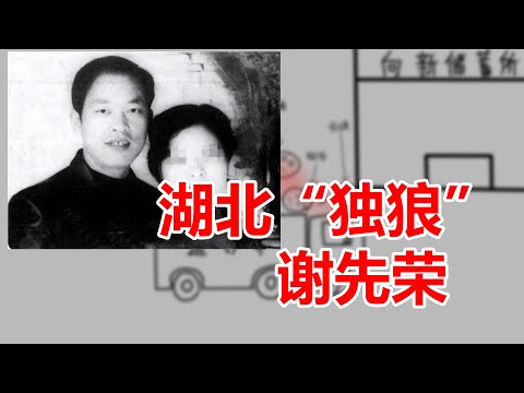 潜心在家自学技术抢银行，看不起张君的湖北独狼——谢先荣