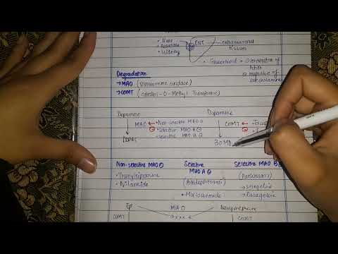 Autonomic Nervous System - Termination and Degradation of Catecholamines-SNS