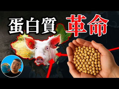 中国人均蛋白质，第一次超过美国？真相完全颠覆你的想象【地图奇遇记】