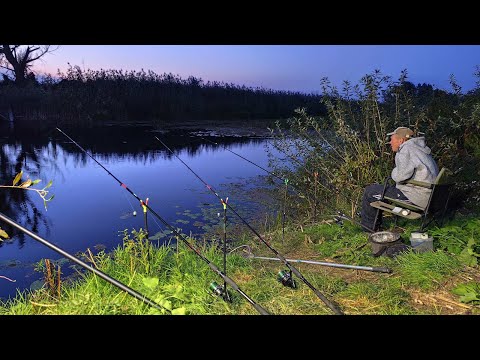 I CAUGHT SO MANY THAT I COULDN'T LIFT IT UP. Fishing on the feeders