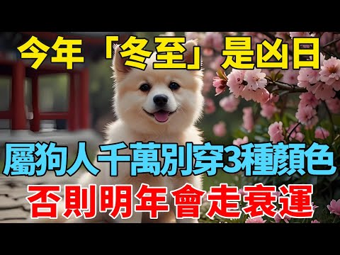 今年「冬至」是凶日！提醒屬狗人：最不能穿的3種顏色衣服，千萬不要碰，否則明年會走衰運！【禪悟】#生肖 #運勢 #風水 #財運#命理