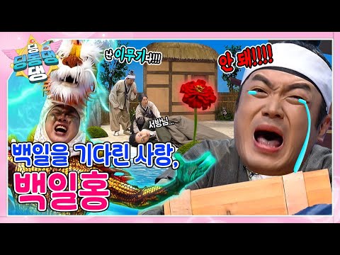 딩동댕 요정들과 함께 백일홍 전설 이야기 속으로 빠져보자~!ㅣ딩동댕 딩동댕ㅣ백일홍 전설