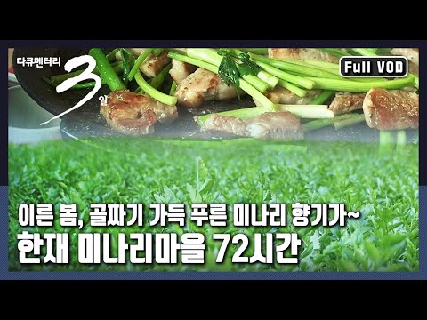[다큐3일★풀버전] 겨우내 추위를 버티고 자라나 🥬미나리 향기로 맞이하는 봄, 봄, 봄. "봄맛, 봄 향기 - 청도 한재미나리마을 72시간" (KBS 20170319 방송)