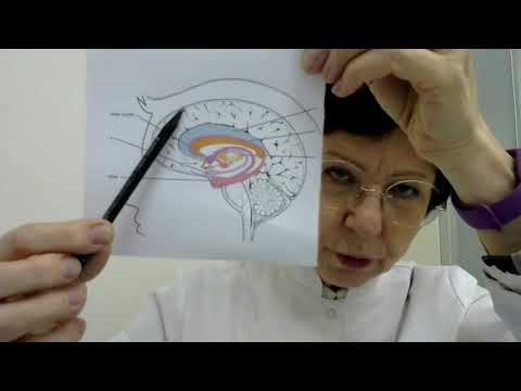 Панические атаки - что делать? Симптомы, причины, лечение. Как себе помочь? Ответы на ваши вопросы