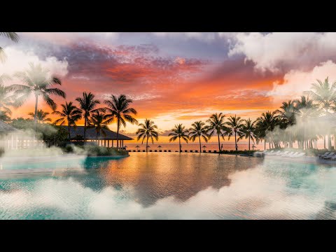 Chill Music for Study, Work & Relax - Tropical Sax & Lofi Beats | Focus Music