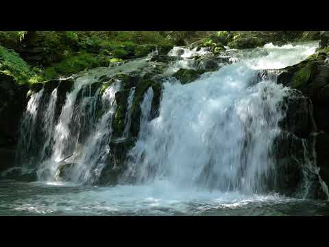 自然の音息_ep.01 蓼科大滝の滝音 12時間　Relaxing Nature Sounds_Waterfall_12 hour