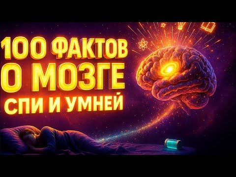 100 ФАКТОВ О МОЗГЕ • Лекция для сна: быстрое засыпание и глубокий сон