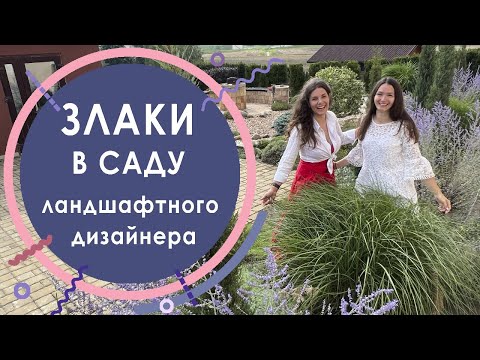 A landscape designer's garden cereal overview