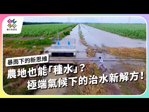 農地也能「種水」？極端氣候下的治水新解方！｜新治水時代－暴雨下的新思維｜公視 #獨立特派員 第930集 20251126