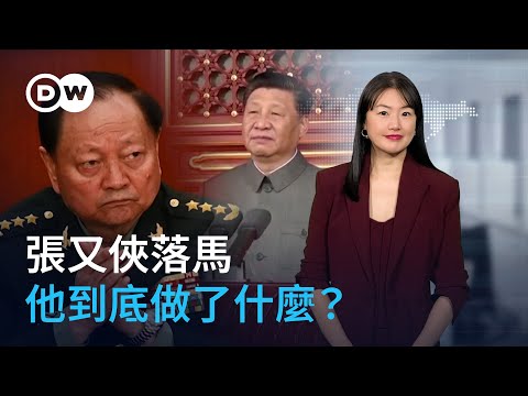 張又俠落馬 他到底做了什麼？｜DW 德媒怎麼說