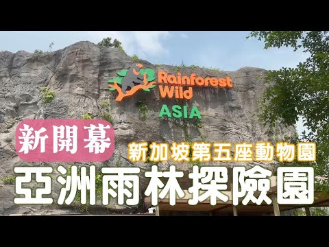 新加坡🇸🇬》第五座動物園。亞洲雨林探險園亞洲區搶先看/超過75%是瀕危動物/探險版的主題樂園