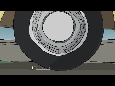 How Many Fossils to Go an Inch? (ft. Robert Krulwich)