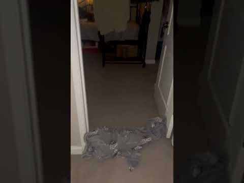 30 декабря 2025 г.