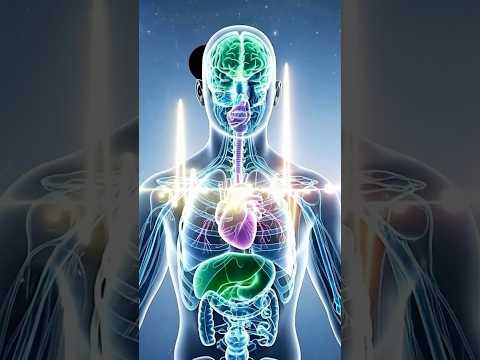 432Hz - Relaxing Sleep Frequency to Relieve Insomnia | Stop Overthinking and Stress