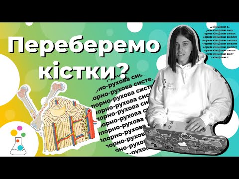 Скелет. Череп, кінцівки, хребет. Опорно-рухова система | Анатомія