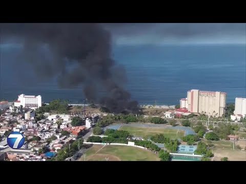 Americans stuck in Mexico after cartel killing; Security expert weighs in | WHIO-TV