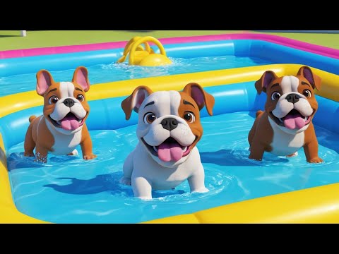 Три маленьких бульдога прыгают в бассейн
