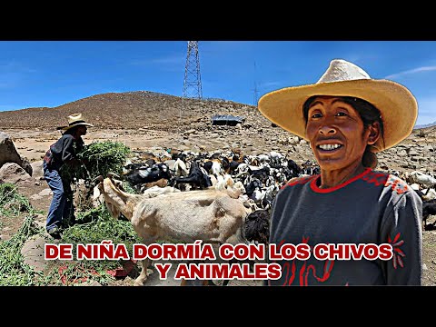 La HISTORIA jamás CONTADA de Doña Yolanda - La Pastora Guerrera