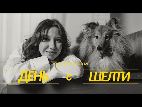 Типичный день с СОБАКОЙ ! Режим, прогулки и игры с ШЕЛТИ