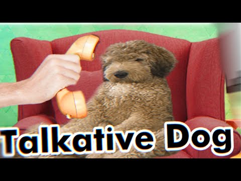 ipad google play 2013