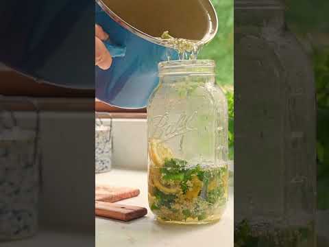 暮らしのなかで仕込む、小さな魔法🌿お花とハーブのある暮らし