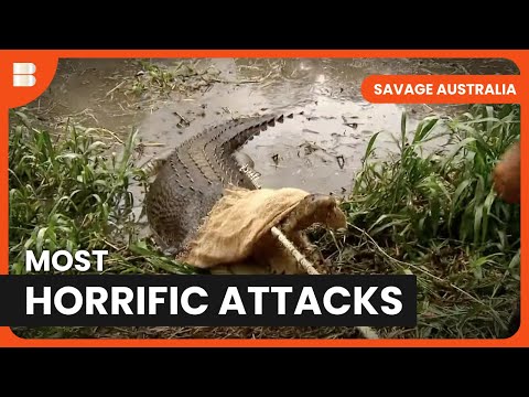 Attacks That SHOCKED Australia | Savage Australia