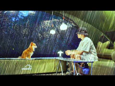Solo Camping in the Heavy Rain with My Dog | Nature Sounds ASMR