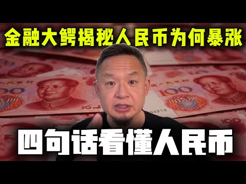 金融大鳄深度解密人民币为何持续升值，四句话点透人民币真相|#老王来了