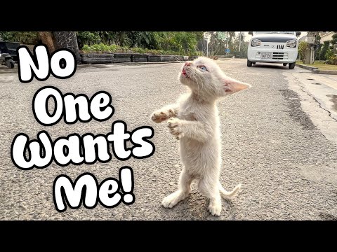 I didn't think of helping you then... until this moment.