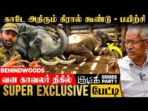 🐘காட்டு யானைகளை குழந்தையாக மாற்றும் மரக்கூண்டு! - FIRST EXCLUSIVE LIVE VISIT