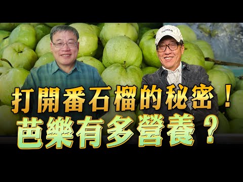 '24.01.07【超級玩樂大帝國】「打開番石榴的秘密！芭樂有多營養？」專訪農業部農業試驗所鳳山熱帶園藝試驗分所副研究員謝鴻業