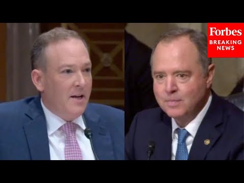SHOCK MOMENT: Zeldin Zings Schiff: 'I Understand That You Were An Aspiring Fiction Writer—I See Why'