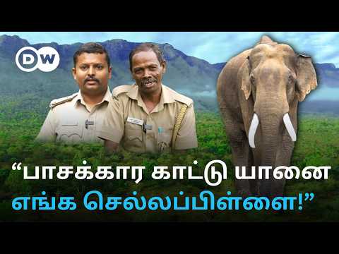 "Rivaldo குழந்தை மாதிரி..." - நன்றி மறவாத காட்டு யானை; கிராம மக்களின் செல்லப்பிள்ளையானது எப்படி?