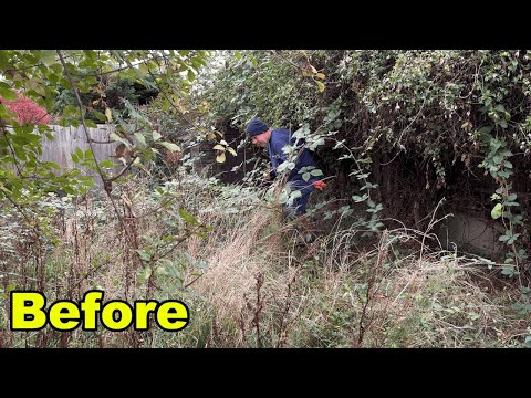 This Garden Was A DISASTER For Disabled Neighbour! Stopping INVASIVE IVY With Garden Transformation!