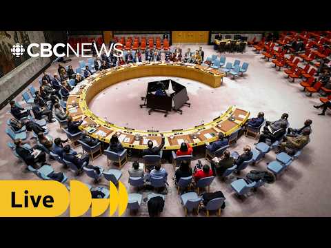 UN Security Council votes on 2 Iran draft resolutions