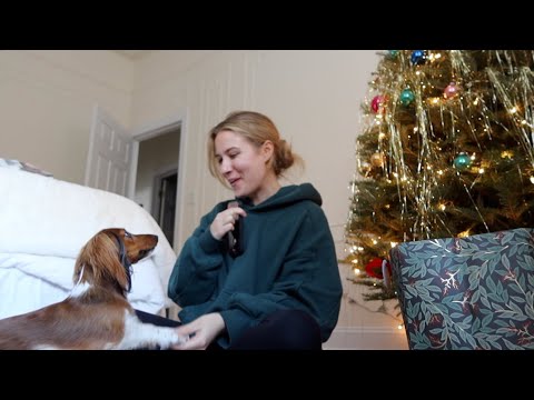 a very nyc christmas