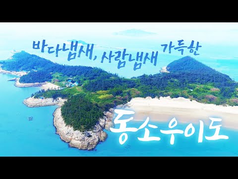 바다와 함께 나이들고 싶어서 섬으로 들어 왔습니다 ㅎㅎ 고향 섬에 들어오니까 살맛 납니다. 바다냄새 사람냄새가 가득한 섬이 좋습니다 ㅎㅎ #동소우이도 #도초 #섬