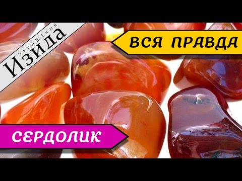 СЕРДОЛИК: РАДУЮЩИЙ СЕРДЦЕ