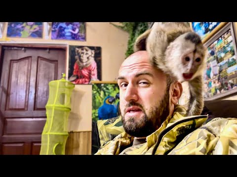 Финик уже во всю НАВОДИТ СВОИ ПОРЯДКИ, но конечно по сравнению с Люськой ВСЕ ОТДЫХАЮТ! 