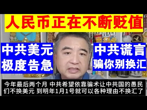 Zhai Shanying: Why the RMB is Constantly Depreciating | The CCP's Dollar Crisis in the Quarter | ...