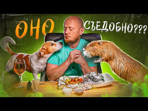 "Станица" - Национально, Колоритно, Бюджетно.