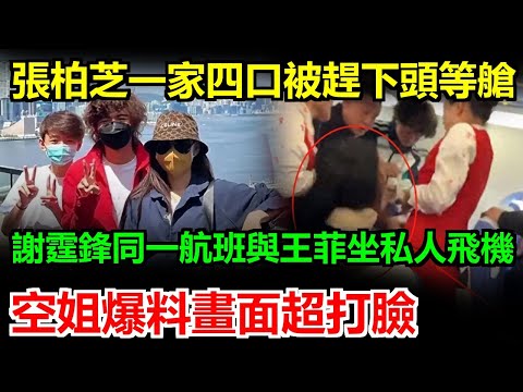 張柏芝一家四口頭等艙被無情趕下！同一航班謝霆鋒卻和王菲搭私人飛機甜蜜放閃，空姐親爆內幕畫面超打臉，前妻拖行李狼狽崩潰對比天后貴婦範，網友看完氣炸：這差距太殘忍太虐心了！#謝霆鋒#張柏芝#王菲