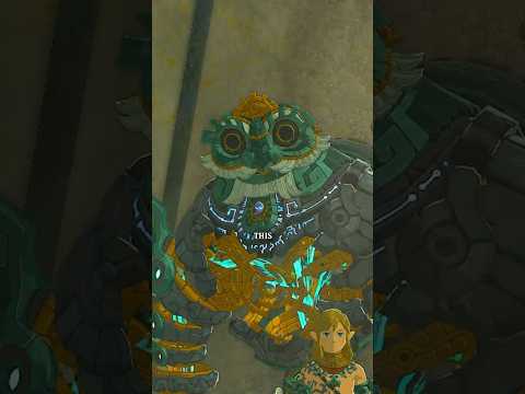 Did you notice this MINERU Detail in Tears of the Kingdom?