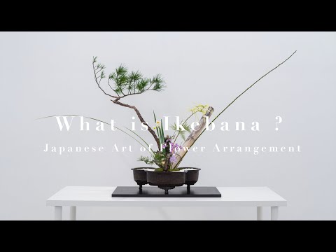 What is Ikebana? Japanese Art of Flower Arrangement